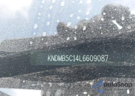 2020 Kia Sedona Lx from USA, damaged, VIN KNDMB5C14L6609087